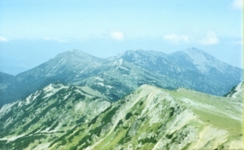 pirin kamm